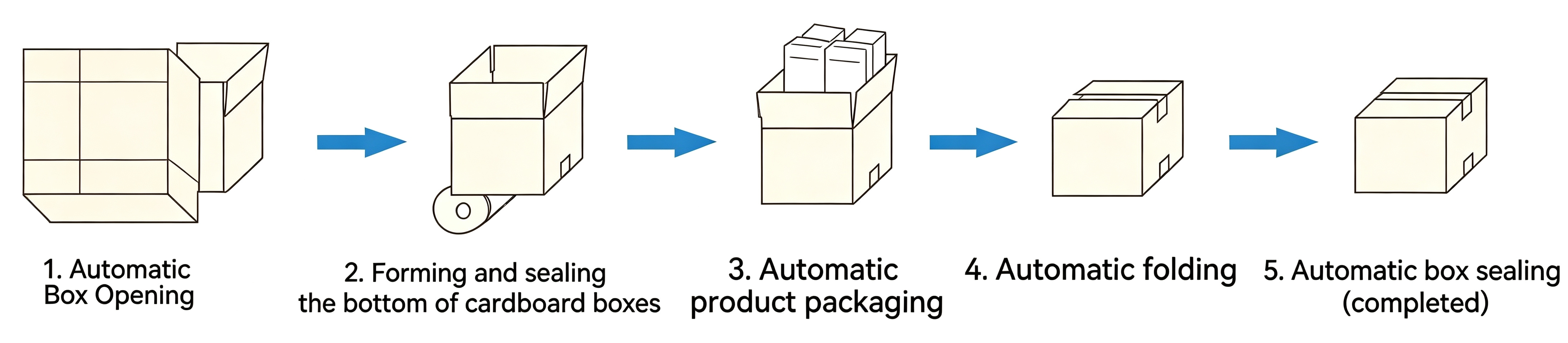 Carton Machinery (4).jpg